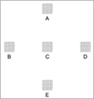 坐標蓋塑片(Correlative Microscopy Coverslips?)